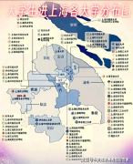 上海及长三角地域的各行各业供给了主要的手艺